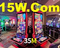 35M App Interface